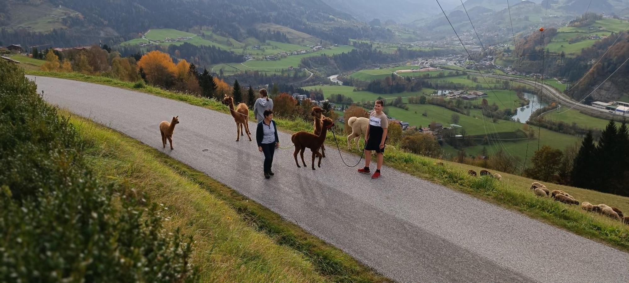 Appartementhaus Eisbauer Sankt Johann im Pongau Exteriér fotografie